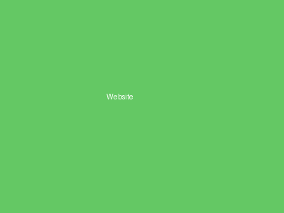 Website project